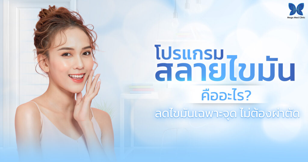 โปรแกรม สลายไขมัน